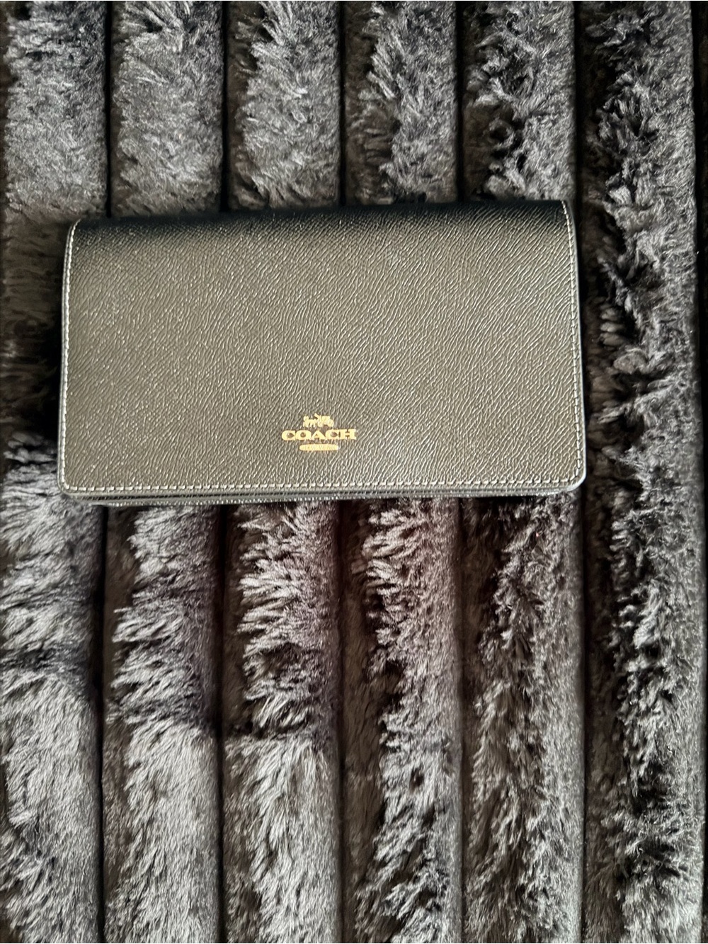 Coach Anna Foldover Clutch Crossbody Bag